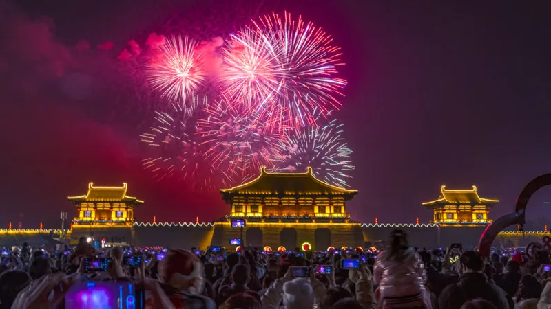 美女网站18春节烟花庆祝视频素材