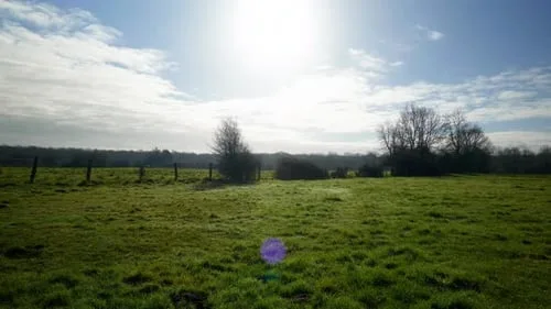 美女网站18自然风光视频素材分类